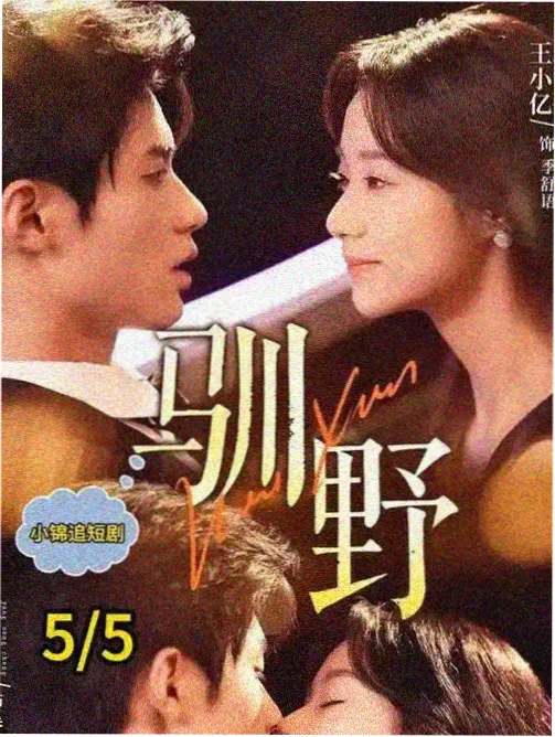 都市情感题材图鉴 夜景车窗与霓虹光斑的观察卡封面